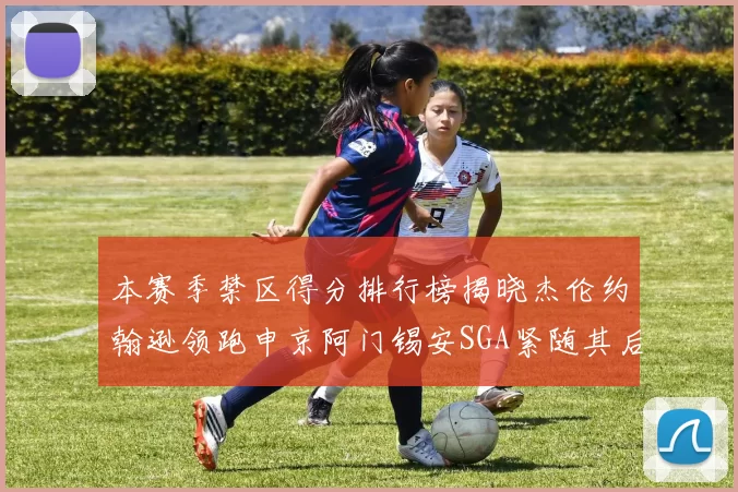 本赛季禁区得分排行榜揭晓杰伦约翰逊领跑申京阿门锡安SGA紧随其后