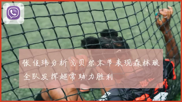 张佳玮分析戈贝尔末节表现森林狼全队发挥超常助力胜利