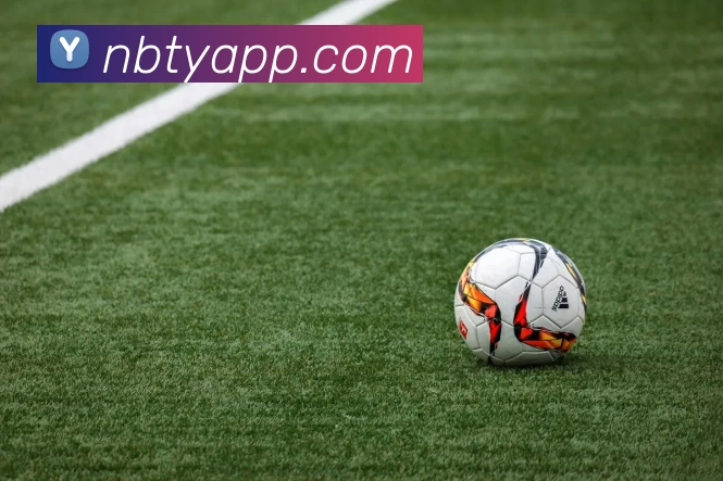 企业概况
